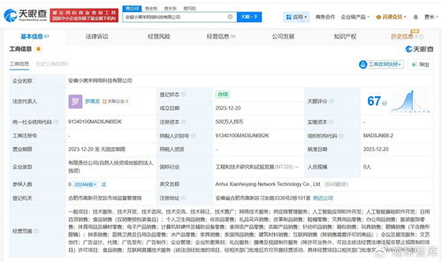 揭秘三只羊美國上市關(guān)聯(lián)公司 網(wǎng)絡技術(shù)服務如何賦能直播電商生態(tài)